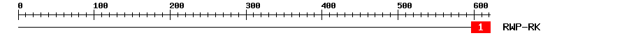 Signature Domain