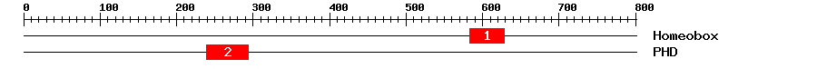 Signature Domain