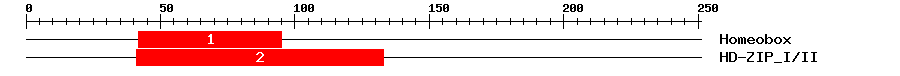 Signature Domain