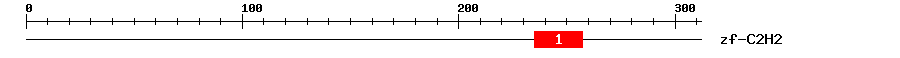 Signature Domain