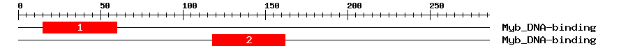 Signature Domain