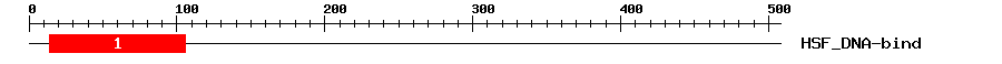 Signature Domain