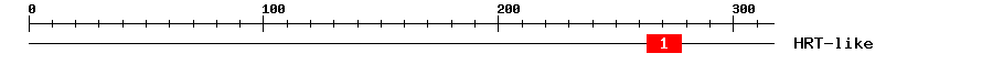 Signature Domain