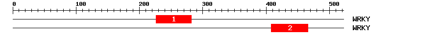 Signature Domain