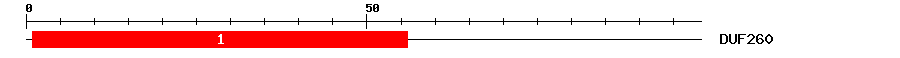 Signature Domain