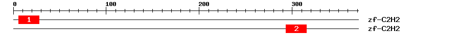 Signature Domain
