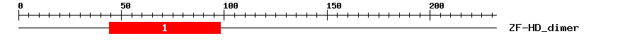 Signature Domain