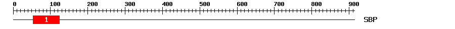 Signature Domain