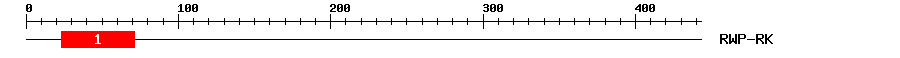 Signature Domain