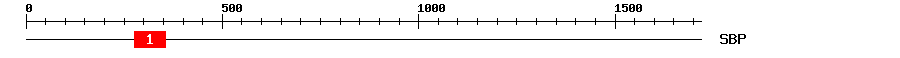 Signature Domain