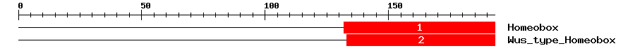 Signature Domain