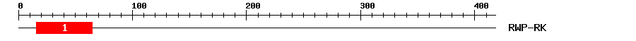 Signature Domain