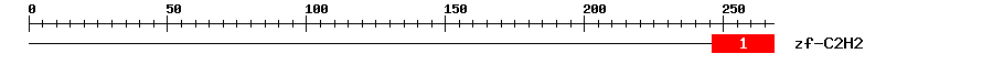 Signature Domain
