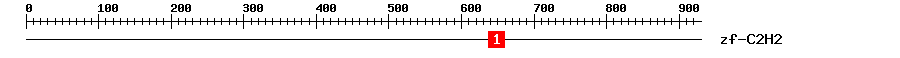 Signature Domain
