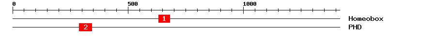 Signature Domain