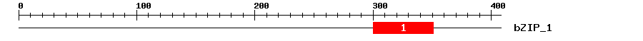 Signature Domain