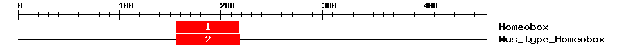 Signature Domain