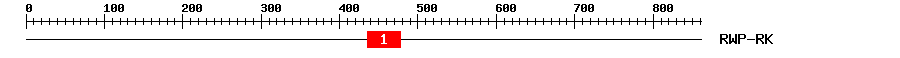 Signature Domain