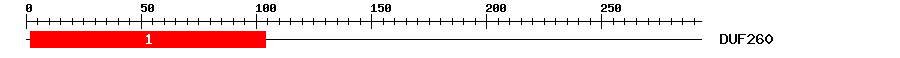 Signature Domain
