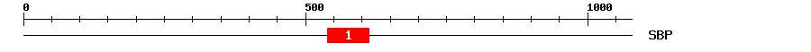 Signature Domain