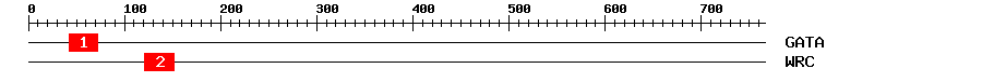 Signature Domain