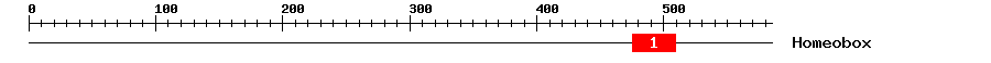 Signature Domain