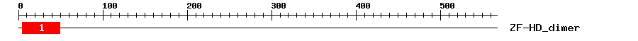 Signature Domain