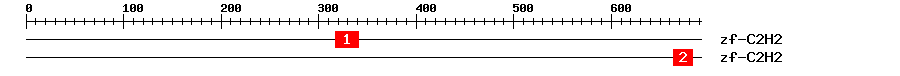 Signature Domain