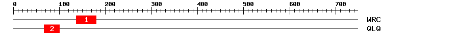 Signature Domain