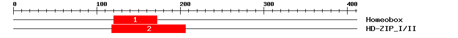 Signature Domain