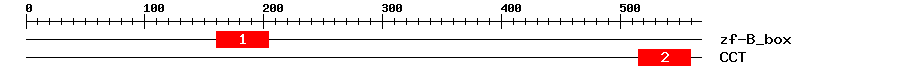 Signature Domain