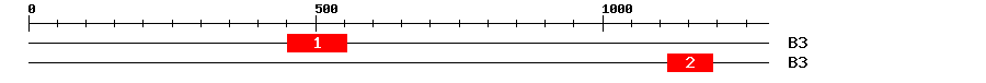 Signature Domain