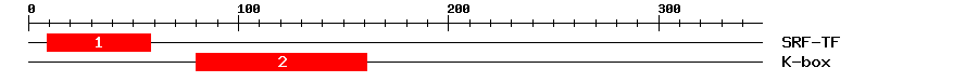Signature Domain