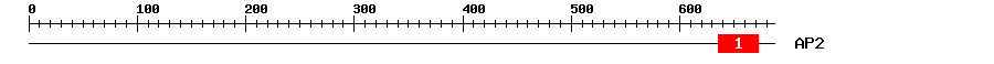 Signature Domain