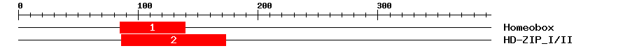 Signature Domain