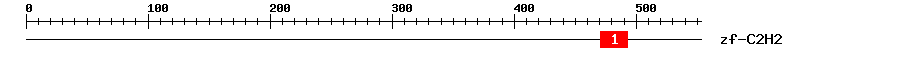 Signature Domain