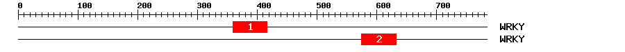 Signature Domain