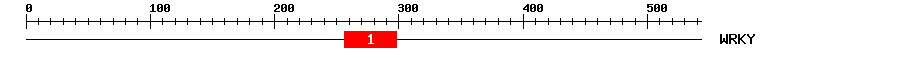 Signature Domain