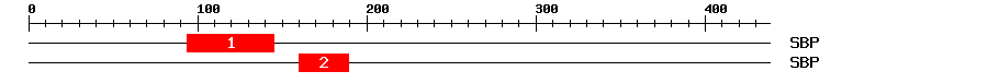 Signature Domain