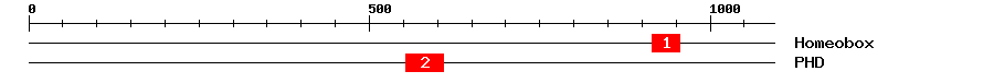 Signature Domain