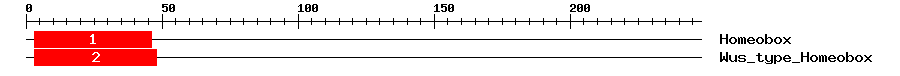 Signature Domain