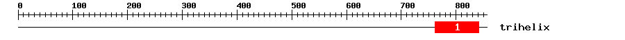 Signature Domain