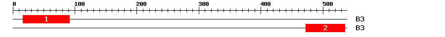 Signature Domain