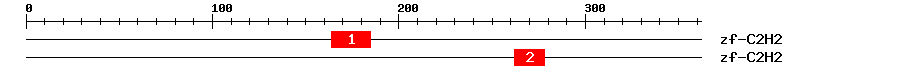 Signature Domain