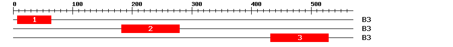 Signature Domain