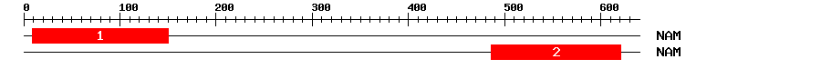 Signature Domain