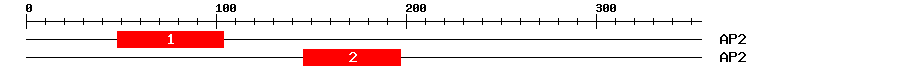 Signature Domain