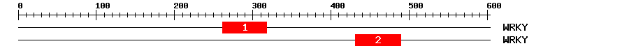 Signature Domain