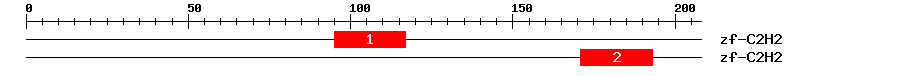 Signature Domain