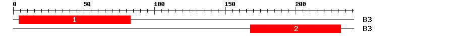 Signature Domain